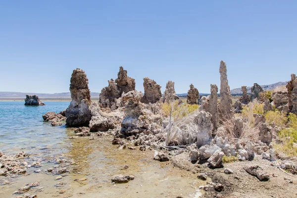 Södra tufa — Stockfoto