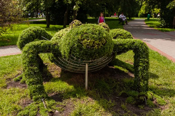 Topiary drátěná klec. — Stock fotografie