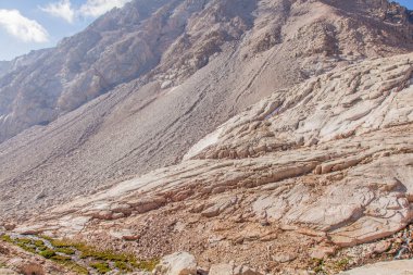 MT whitney iz