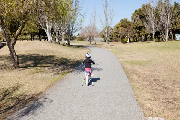 公园里的自行车 — 图库照片