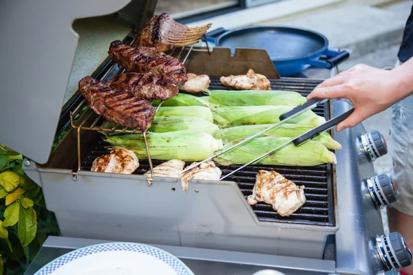 Trädgårdsgrillning Stockbild