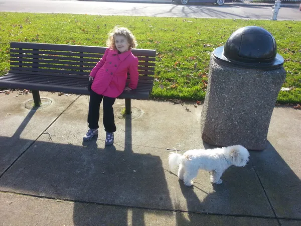 Spazierengehen mit Hund zum Parken — Stockfoto
