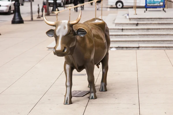 Desfile de vacas — Foto de Stock