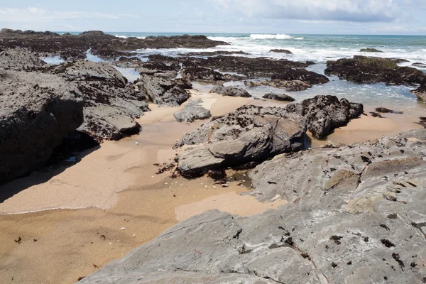 Pacific coast — Stock Photo, Image