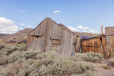 Bodie