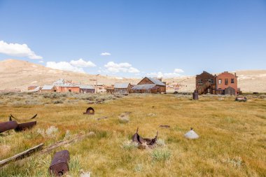 Bodie