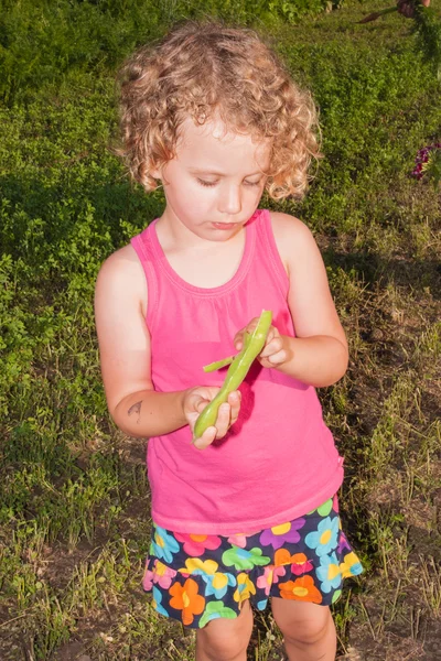 Fava bönor — Stockfoto