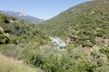 Sekoya Ulusal Parkı