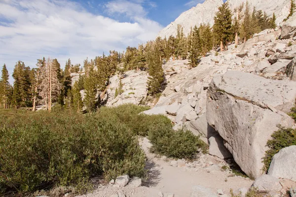 Mt Whitney Trail — Stock Photo, Image