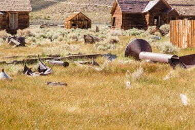 Bodie