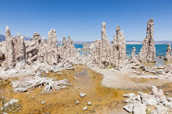 Tufa do sul — Fotografia de Stock