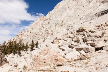 MT whitney iz
