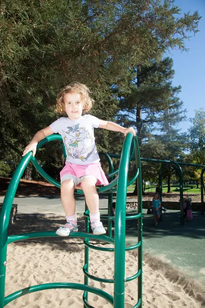 Saturday in the Park — Stock Photo, Image