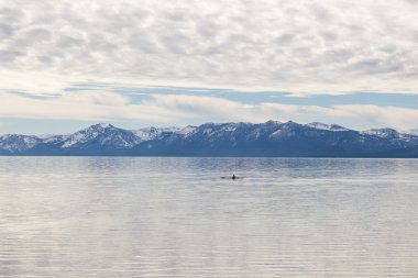 Kings beach devlet rekreasyon alanı