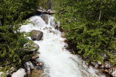Güney nehir krallar