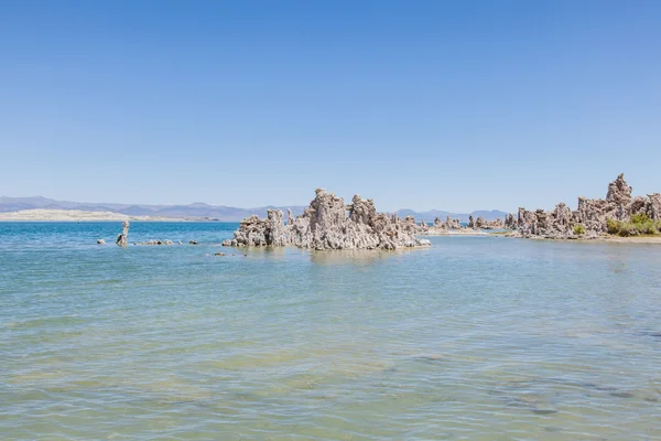 Tufa do sul — Fotografia de Stock