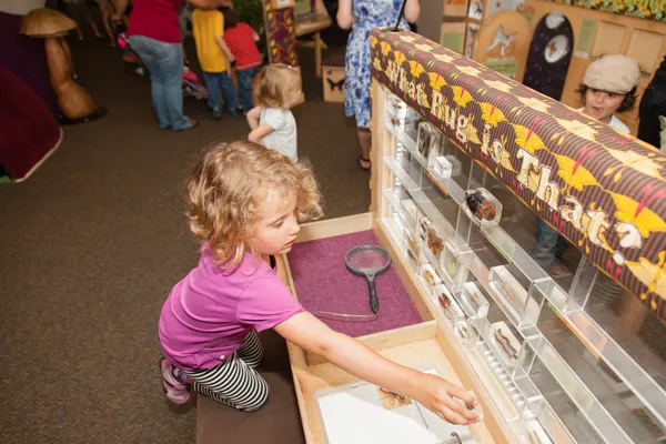 Palo Alto Junior Muzeum idealna Zoo — Zdjęcie stockowe