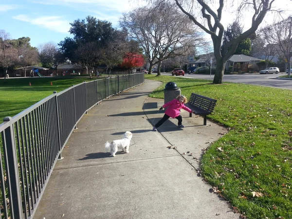 Spazierengehen mit Hund zum Parken — Stockfoto