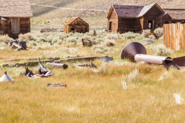 Bodie