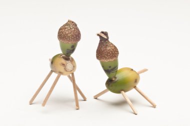 meşe palamudu insanlar