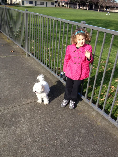 Promenade d'un chien au parc — Photo