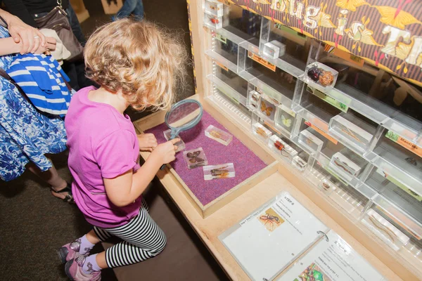 Palo Alto Junior Museum & Zoo — Stock Photo, Image