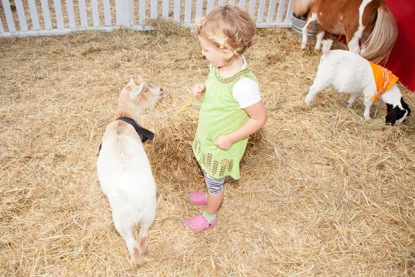 Zoo dla zwierząt domowych — Zdjęcie stockowe