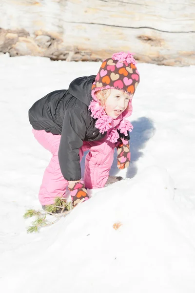 Snö fun — Stockfoto