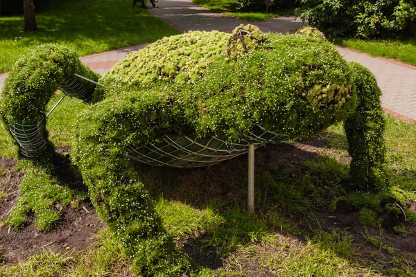 Topiary draad kooi. — Stockfoto