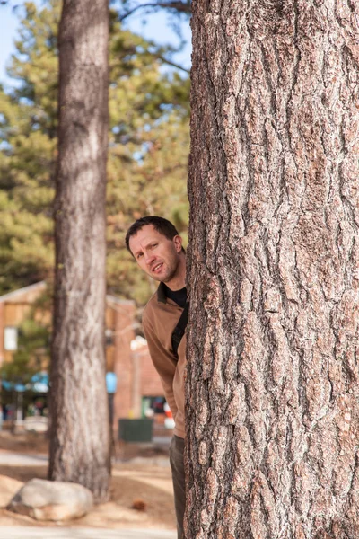 Man behind a tree trunk — Stock Photo, Image