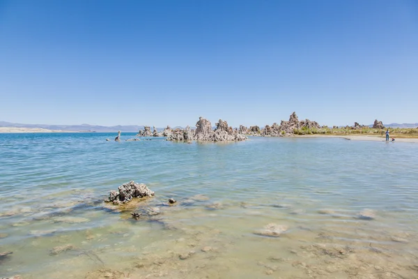 Södra tufa — Stockfoto