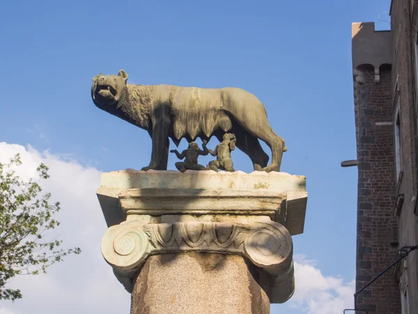 Wilczyca remus i romulus — Zdjęcie stockowe