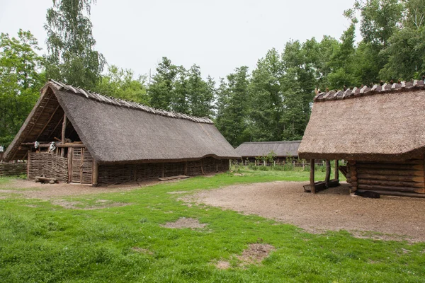 Biskupin — Stockfoto