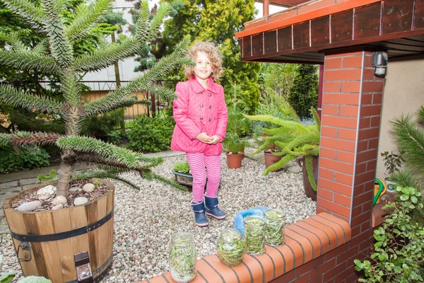 Tuin in het voorjaar van — Stockfoto