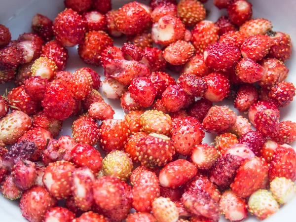 Woodland strawberry — Stock Photo, Image