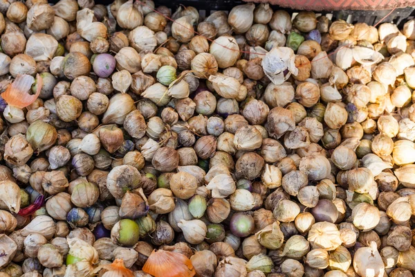 Tomatillos — Stockfoto