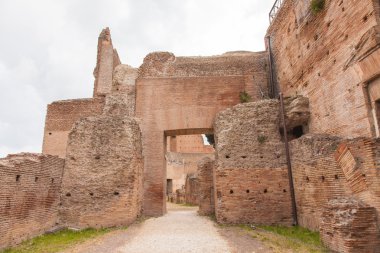 Domus Augusti