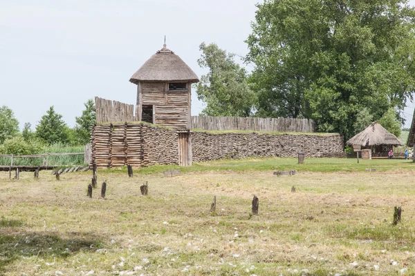 Biskupin — Stockfoto