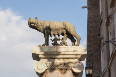 dişi kurt beslenme romulus ve remus
