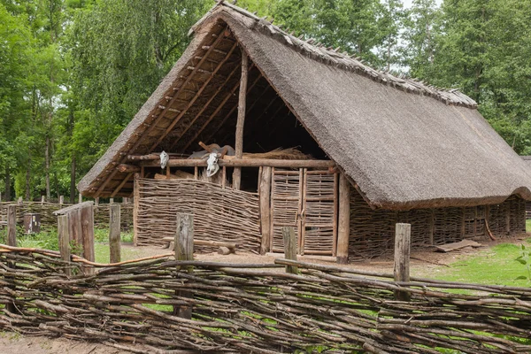 Biskupin — Stockfoto