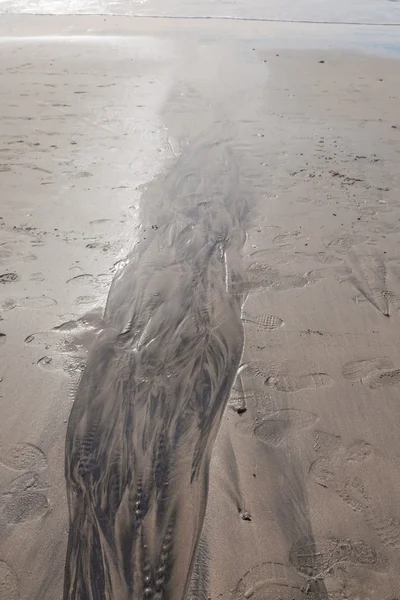 Textura de areia — Fotografia de Stock