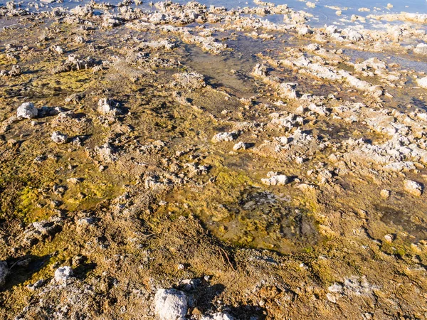 Mono lake södra tufa — Stockfoto