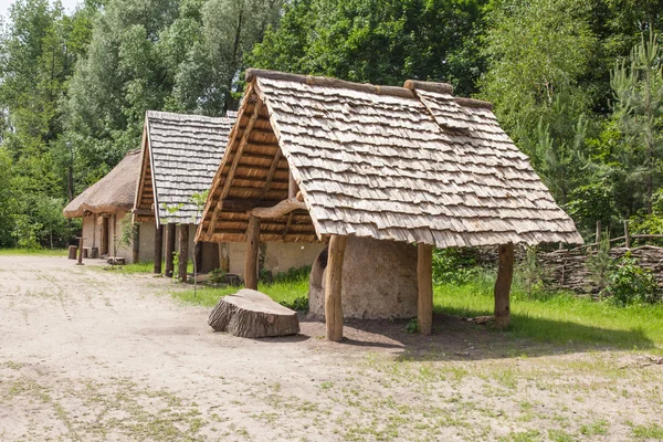 Biskupin — Stockfoto