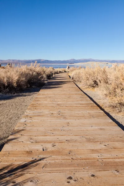 Lac Mono Sud Tufa — Photo