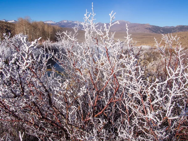 Fales Hot Springs — Foto Stock