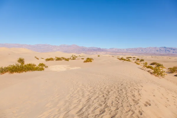 Mesquite Flat Sand Dunes — Stock Photo, Image