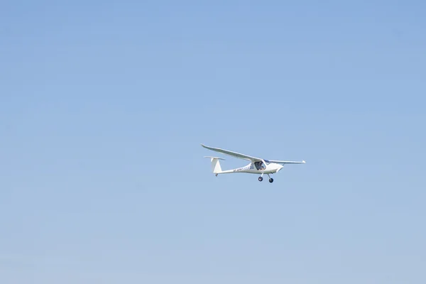 Sinus Pipistrel — Fotografia de Stock