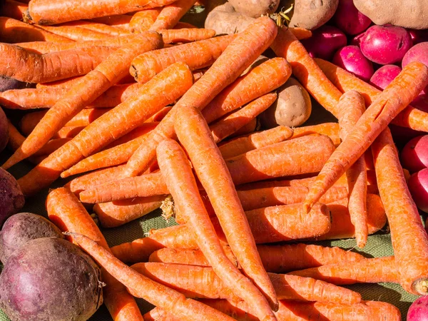 Морковь на продажу — стоковое фото