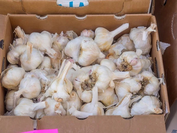 Organic garlic — Stock Photo, Image