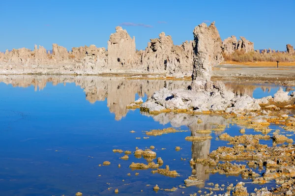 Lac Mono Sud Tufa — Photo